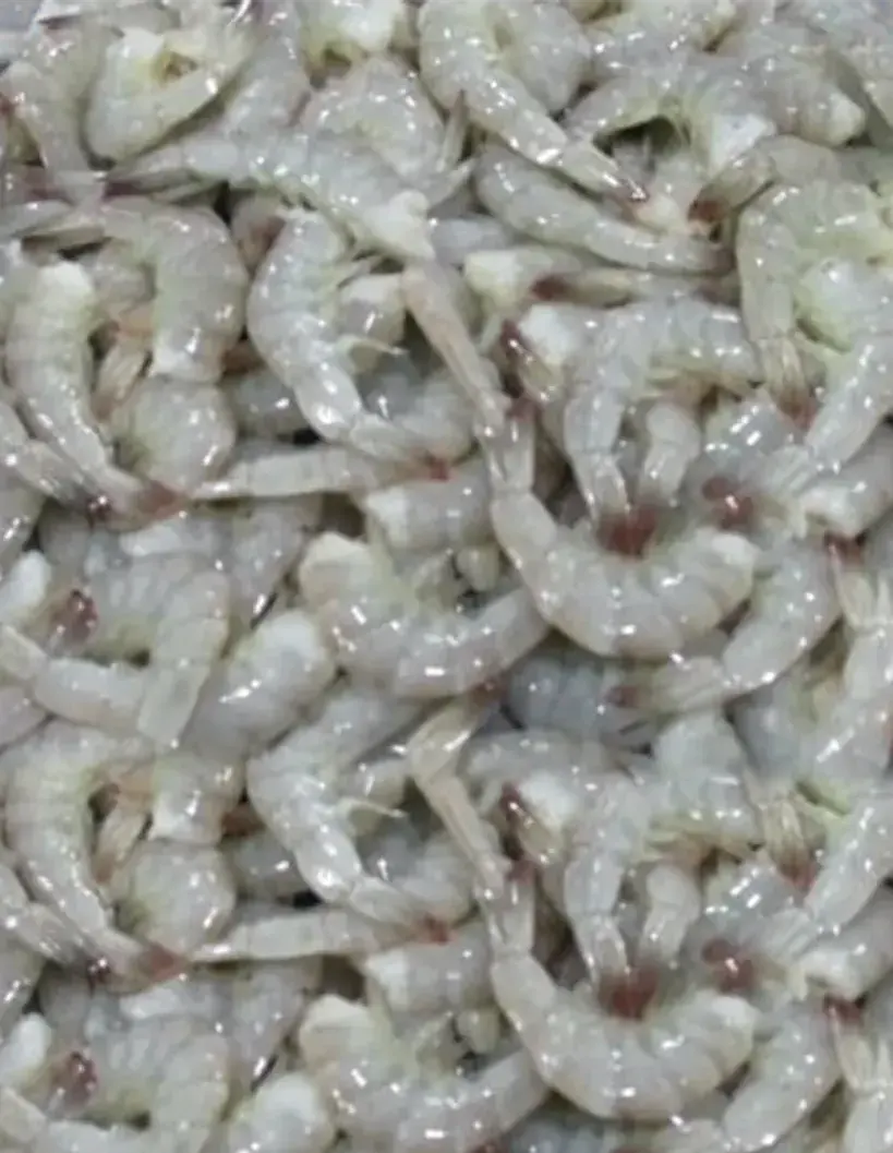 HLSO VANNAMEI frozen seafood from India with long experience supplying worldwide